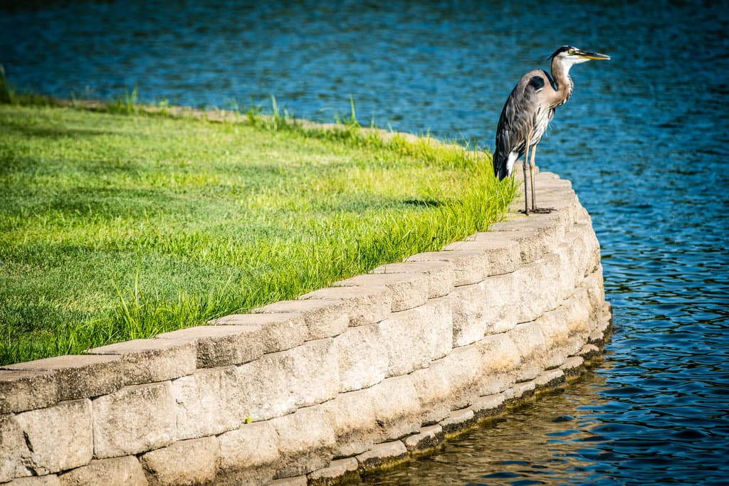 Mozingo Lake Golf Course Visit Maryville Missouri Mozingo Lake Golf Course Visit Maryville Missouri