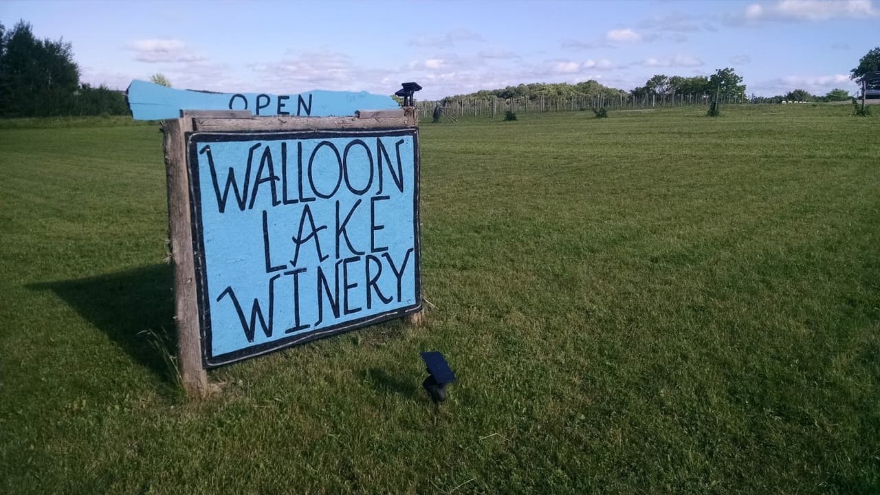 Walloon Lake Winery