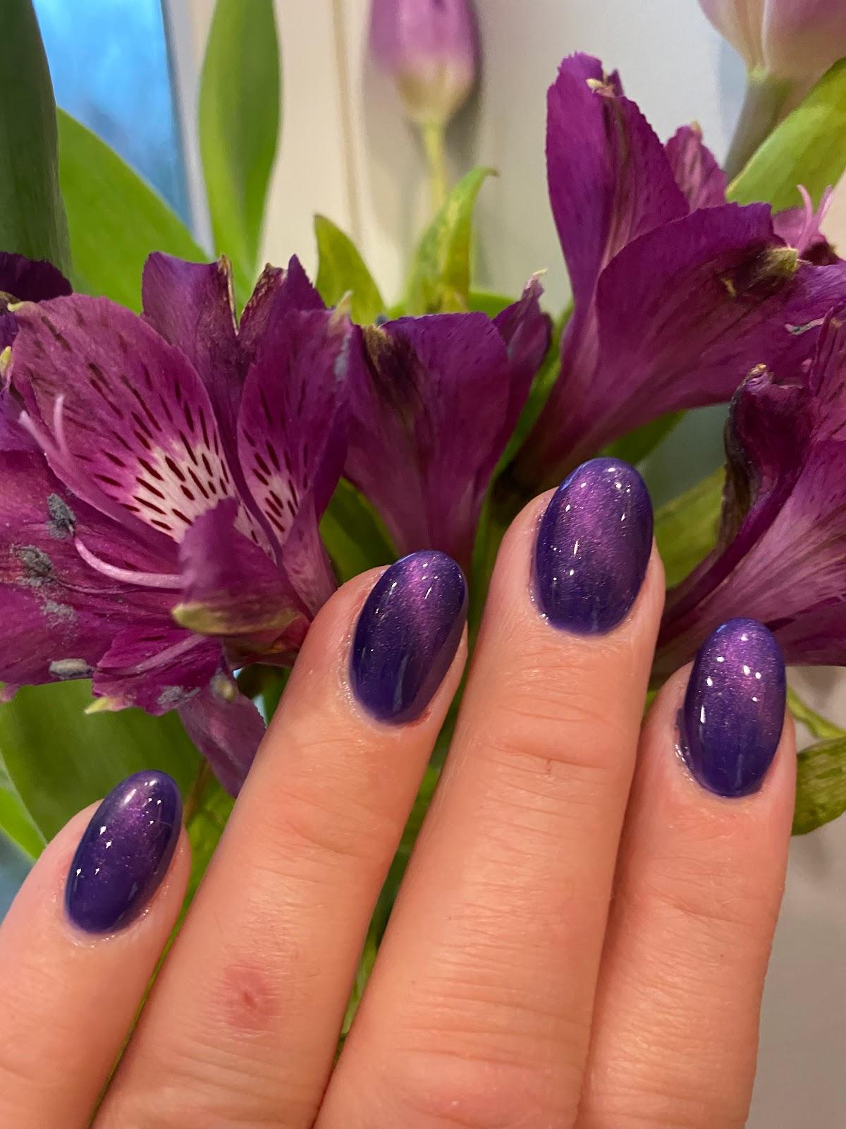 Angel Nails Naples Fl - ztxli2r