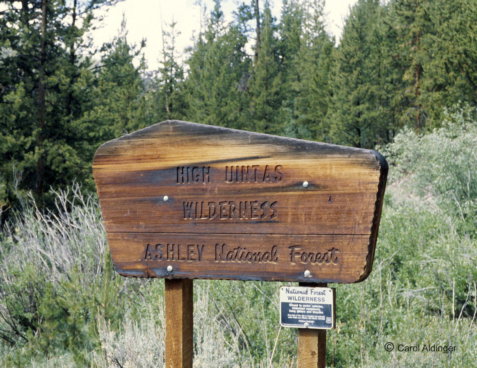 High Uintas Wilderness