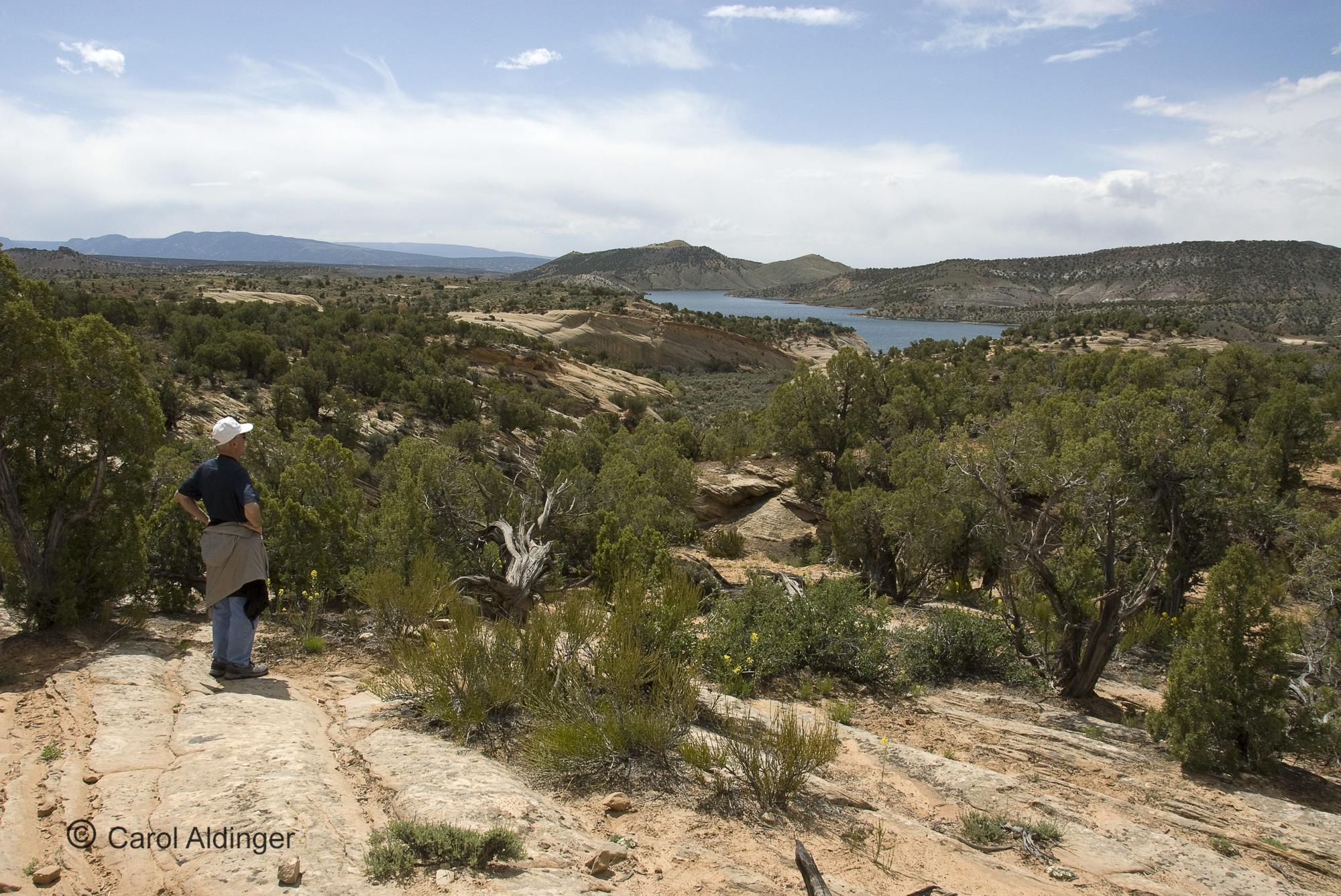 Hiking Guide - Dino Trackway Trail