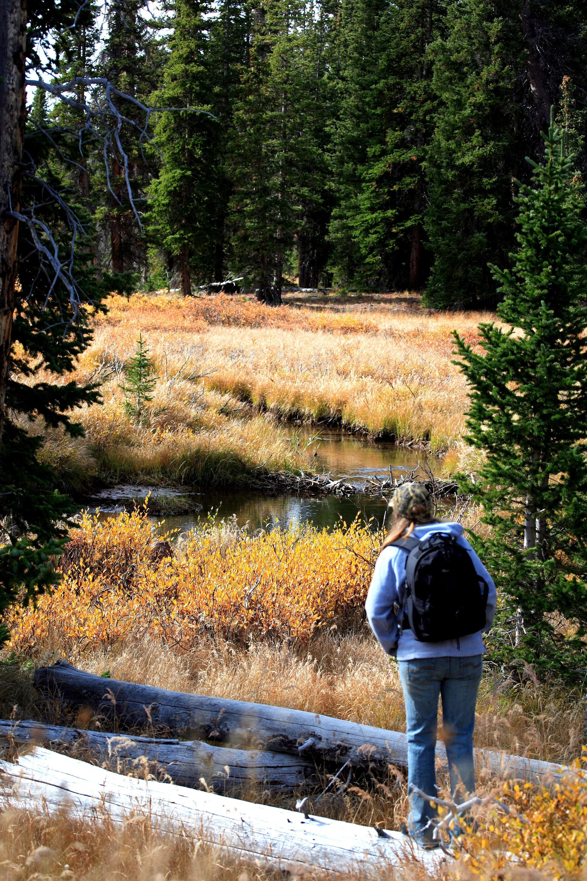 Hiking Guide - Tamarack Lake
