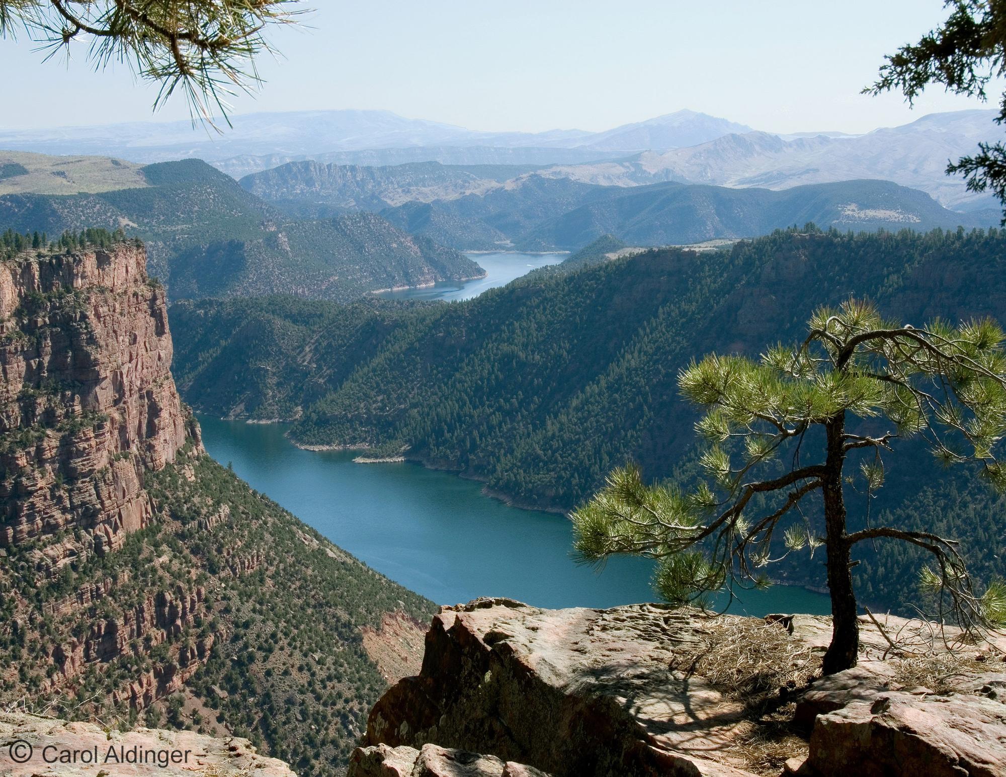 Red Canyon Overlook
