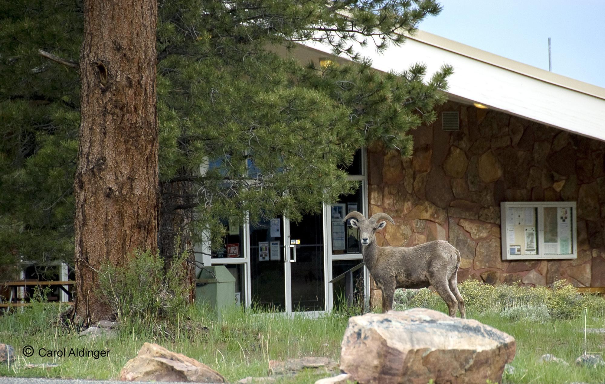 Red Canyon Visitor Center
