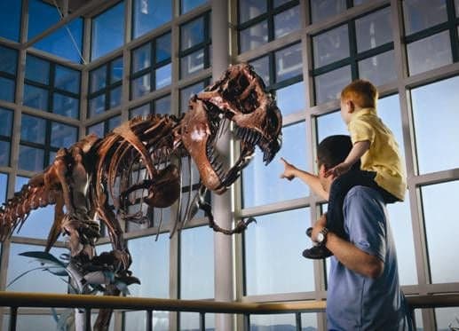 WWCC Natural History Museum