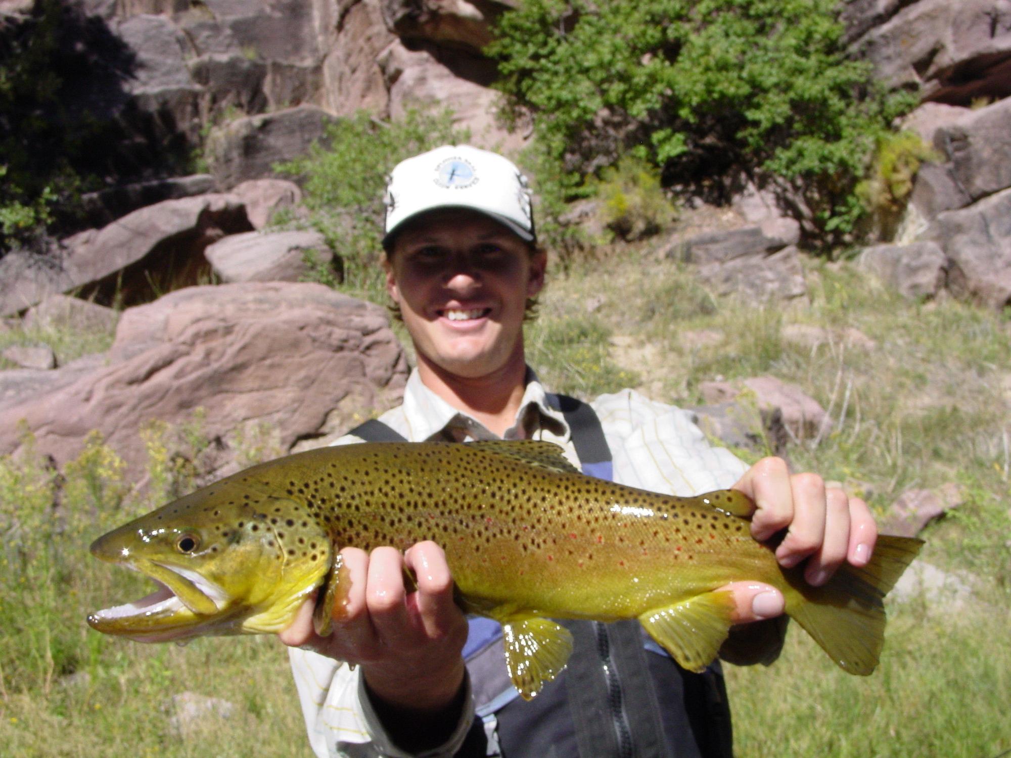 Spinner Fall Guide Service Photo 2