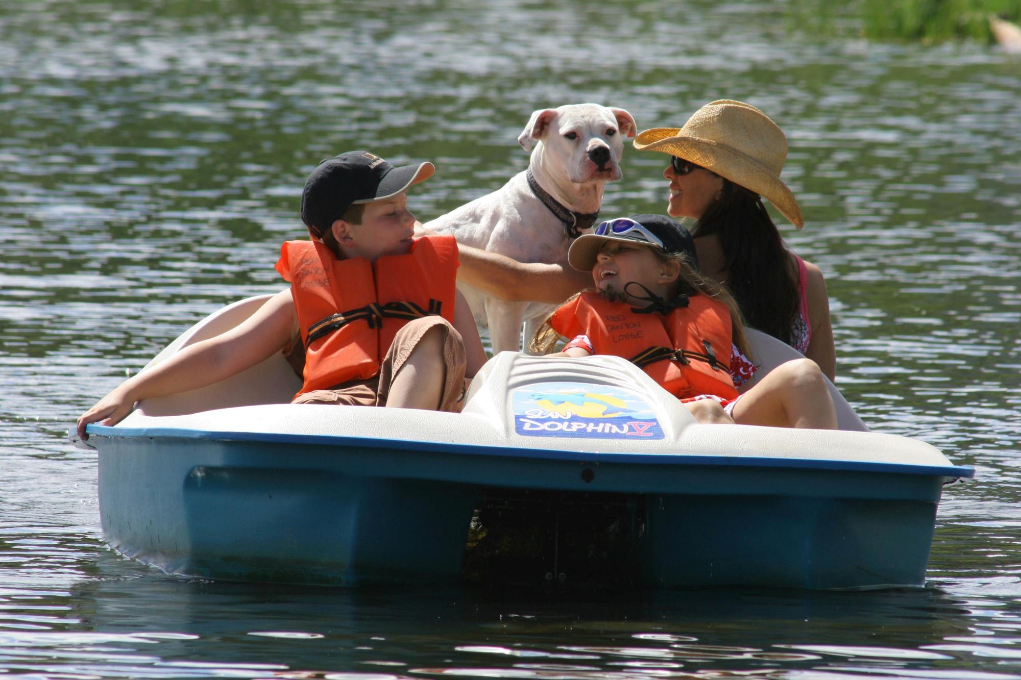 Paddleboats at Red Canyon Lodge Flaming Gorge Utah