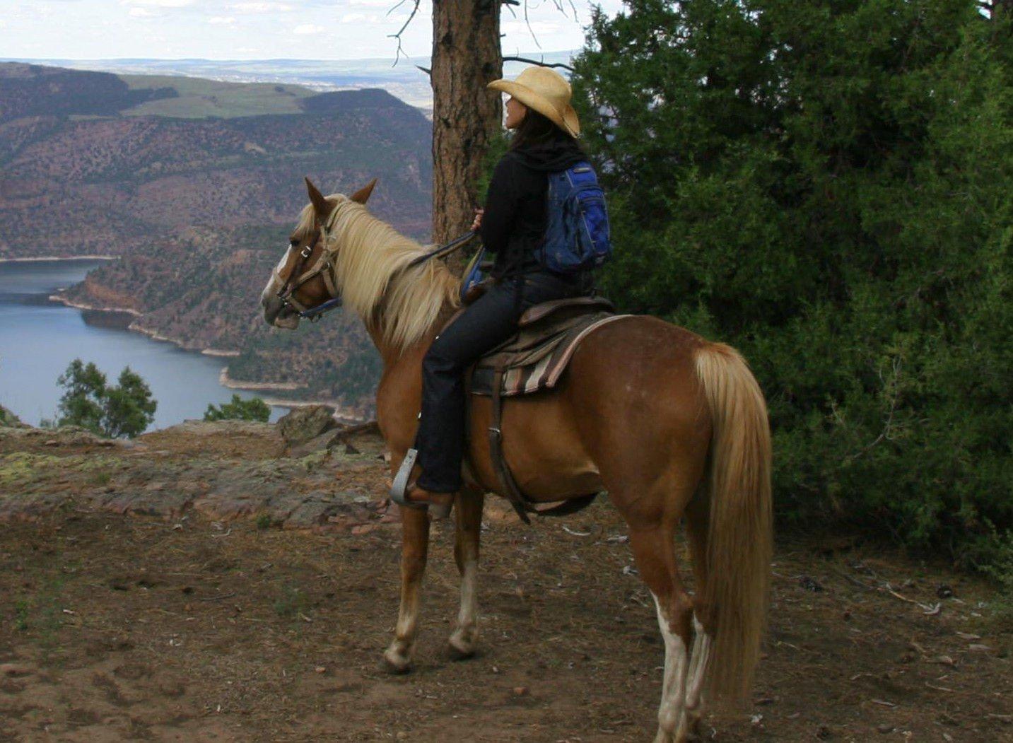 Red Canyon Lodge Horseback Riding