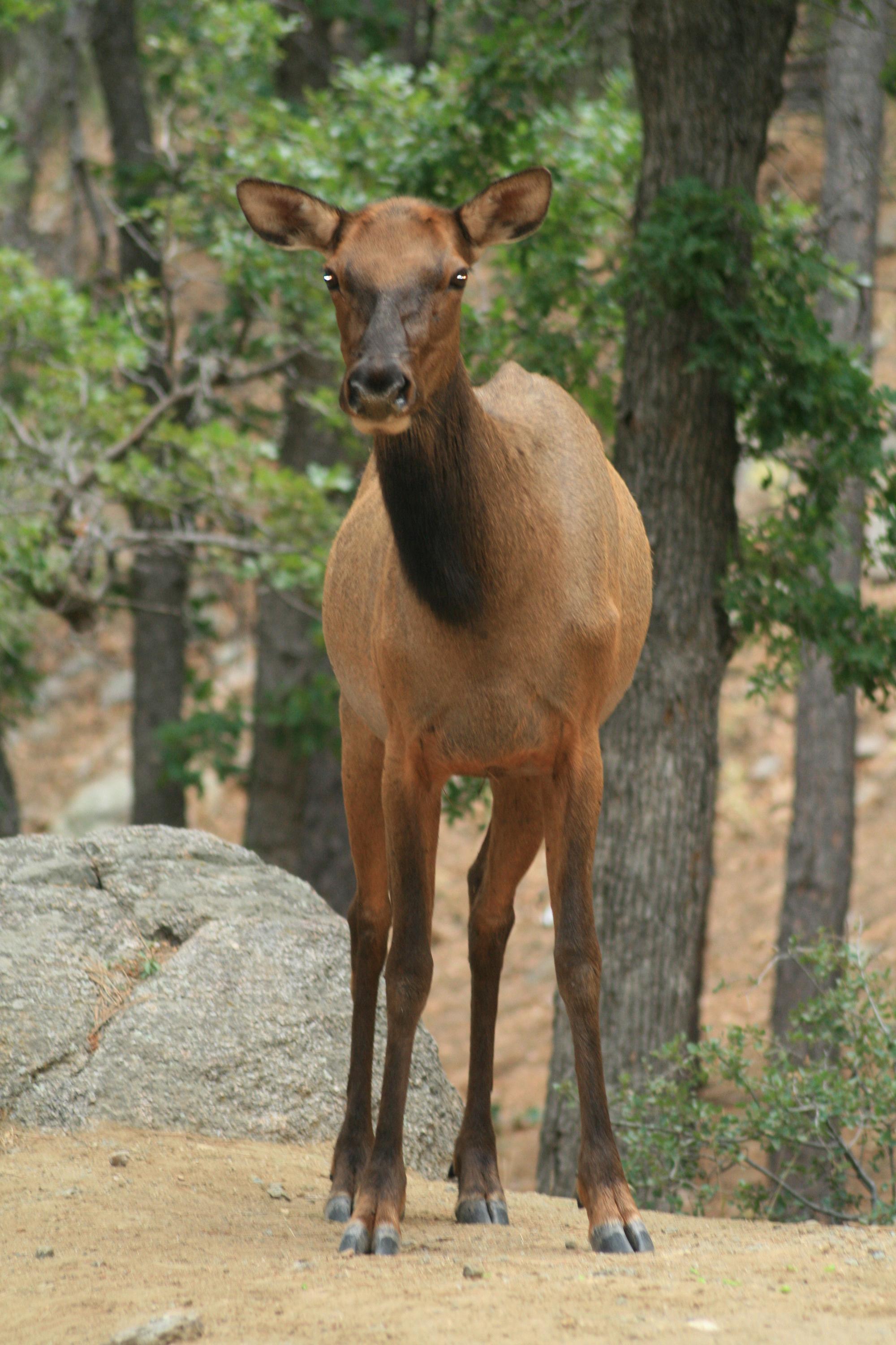 Images of Kingman AZ