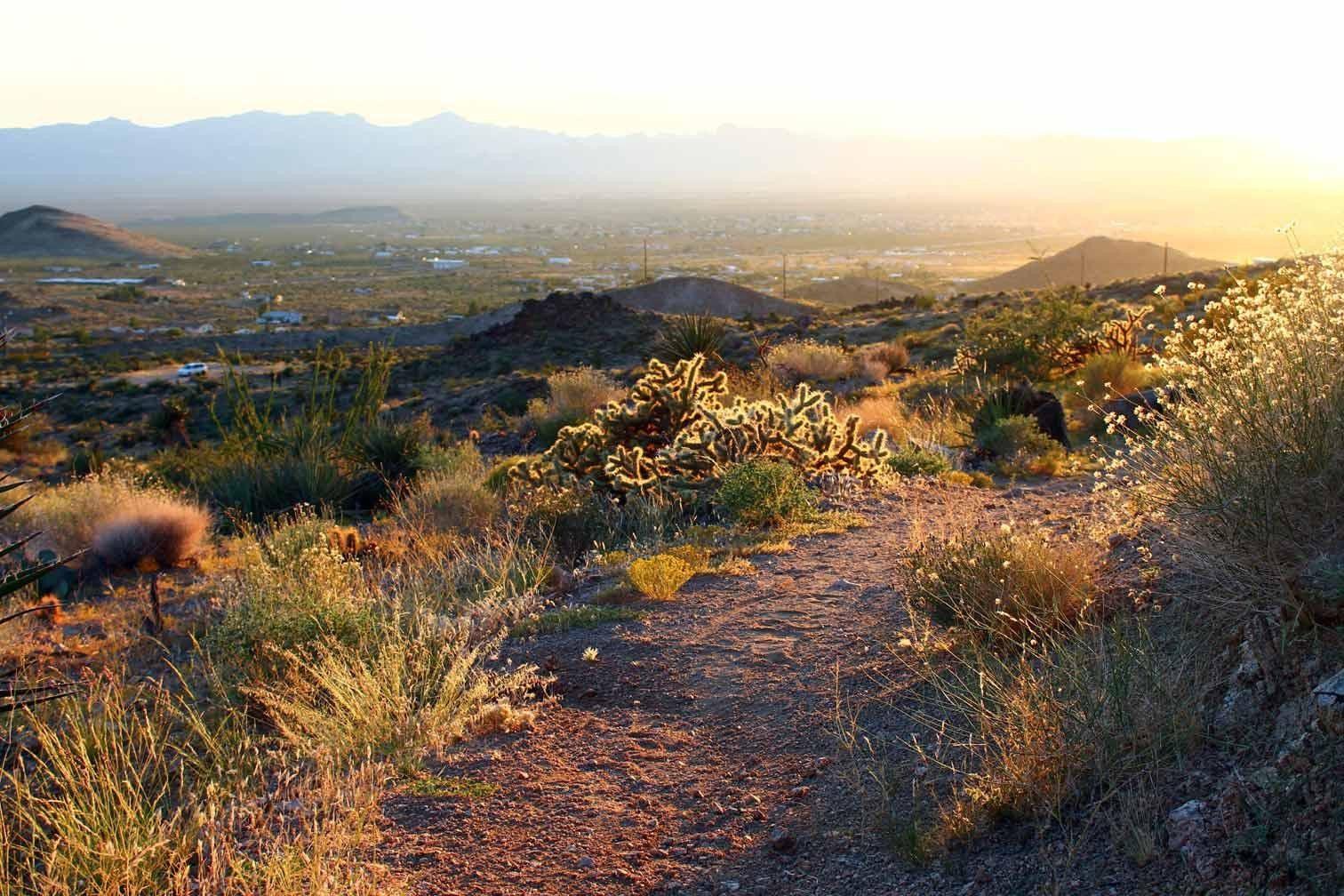 Hiking and Biking near Kingman, AZ