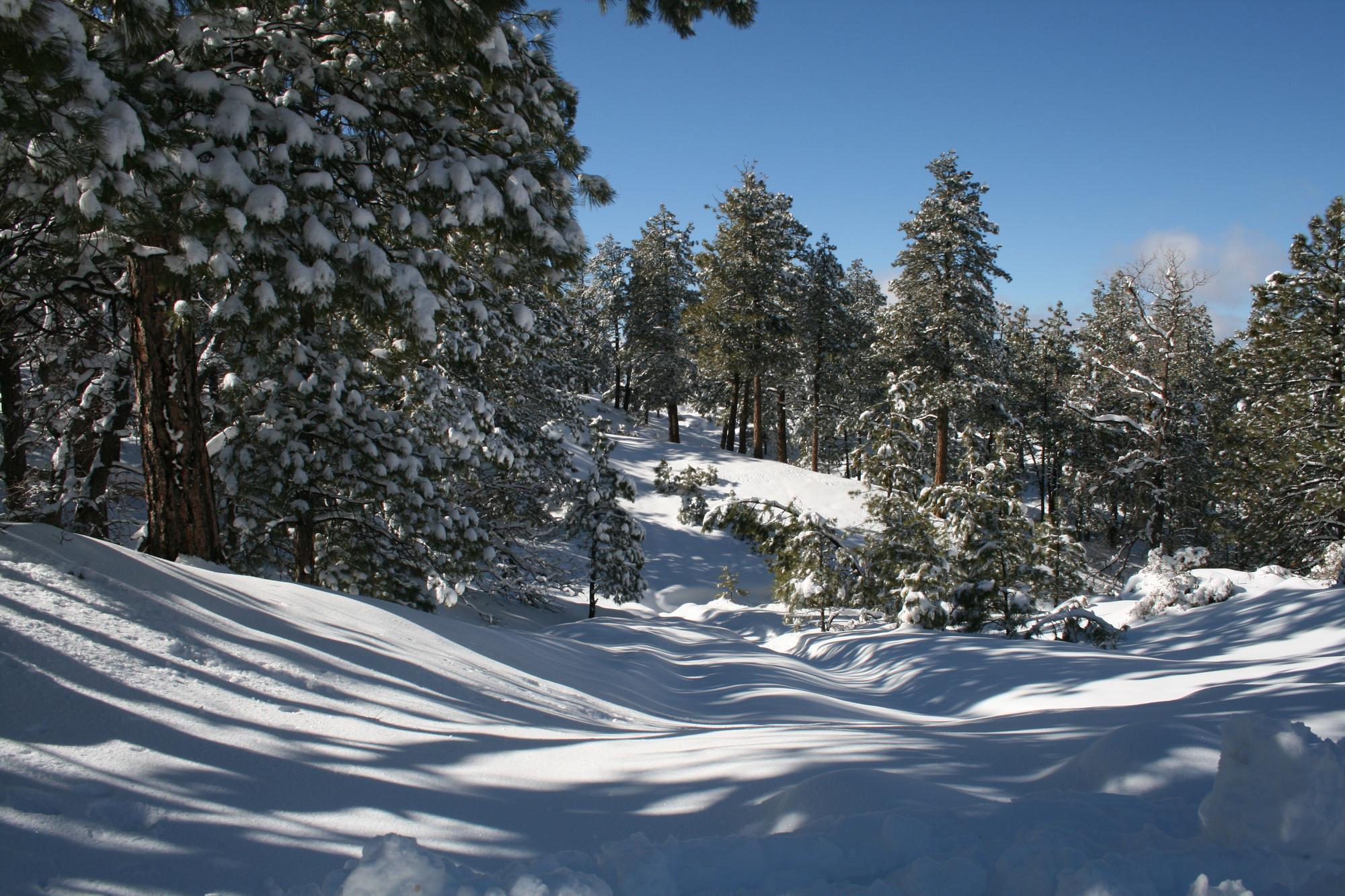 Images of Kingman AZ