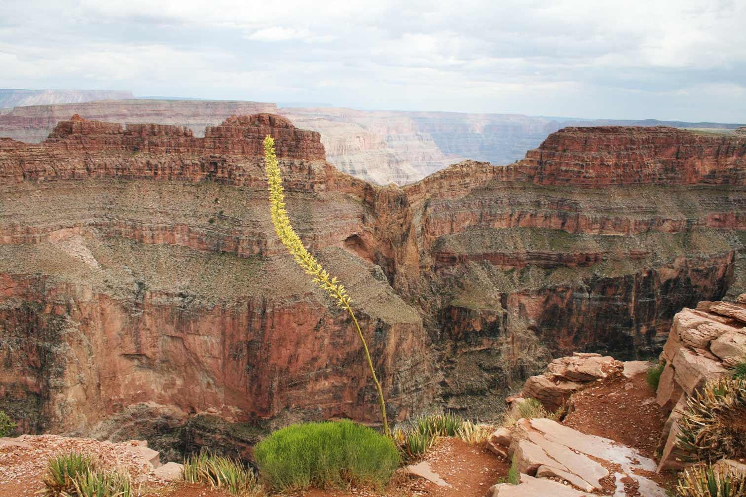 Eagle Point at Grand Canyon West