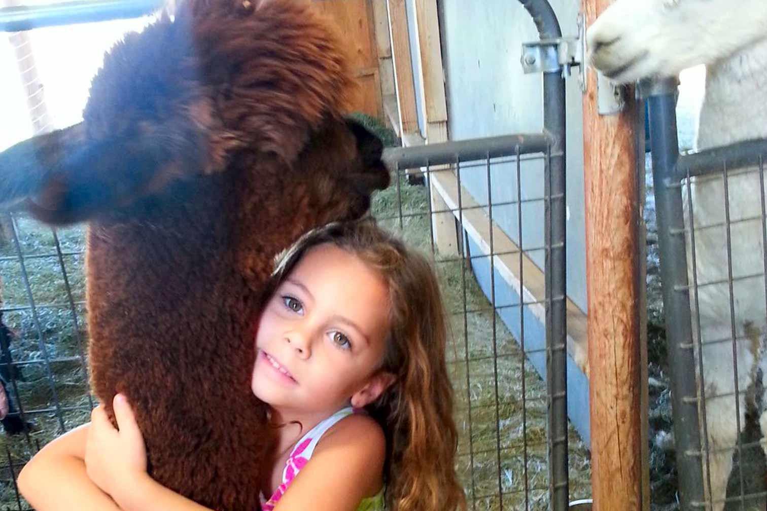 Kingman, alpacas, Arizona, kids