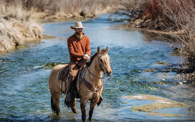 Heber Valley Horse Sale at the Wasatch County Events Complex