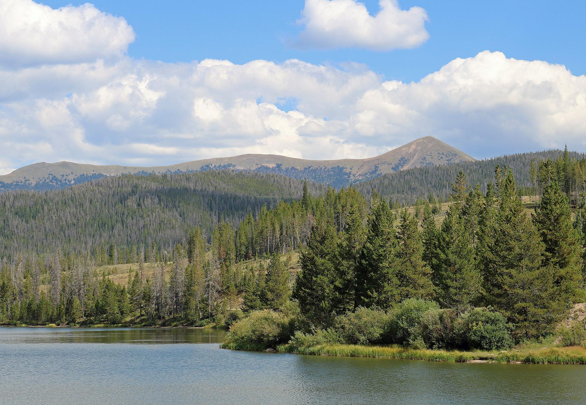 A calm lake meeting the shoreline of a forest that rises up into the mountains - North Park, Jackson County Colorado