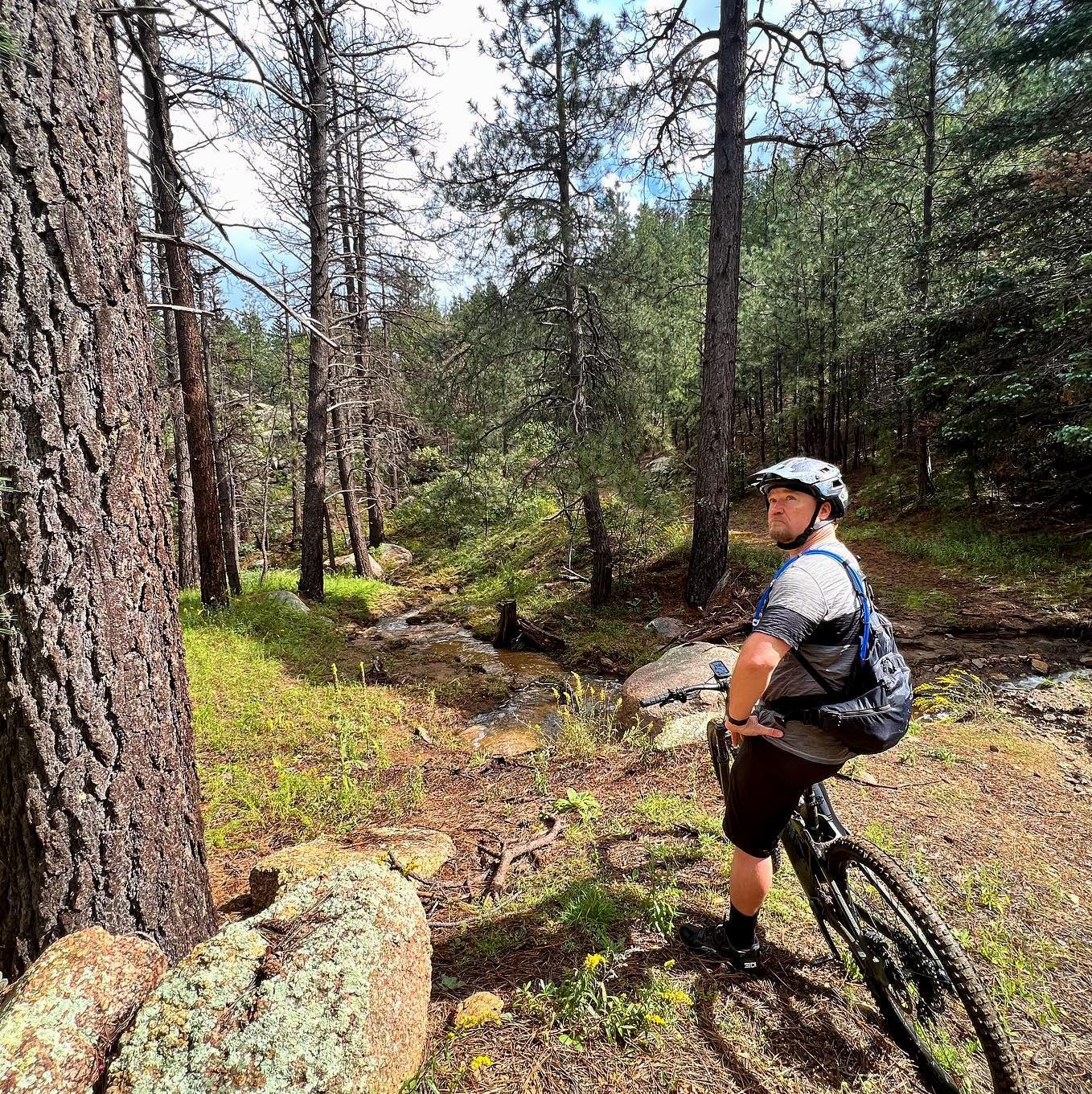 Hualapai Mountain Park Mountain Biking