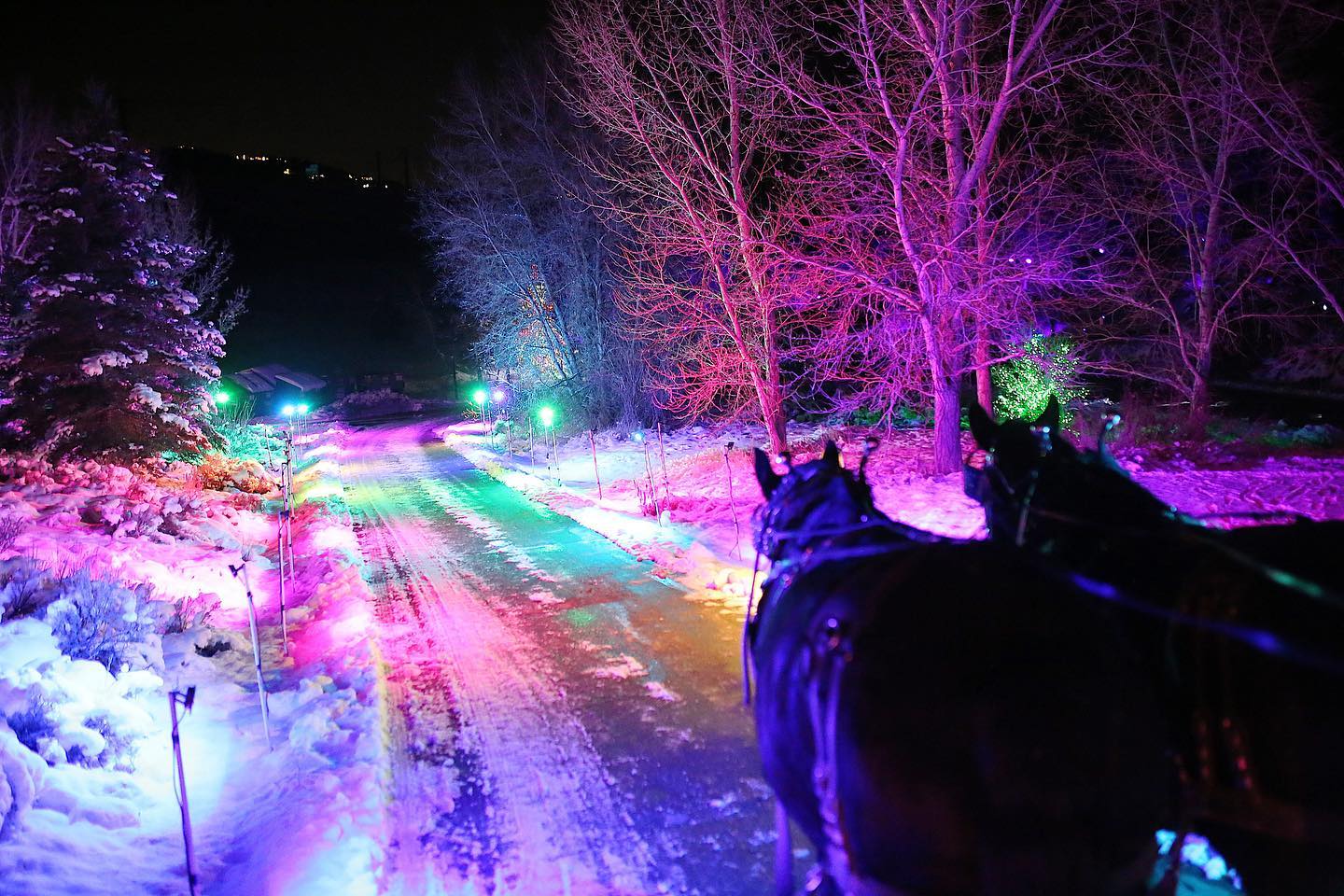 Horse Drawn Holiday Light Show at Jordanelle State Park in Heber City, UT