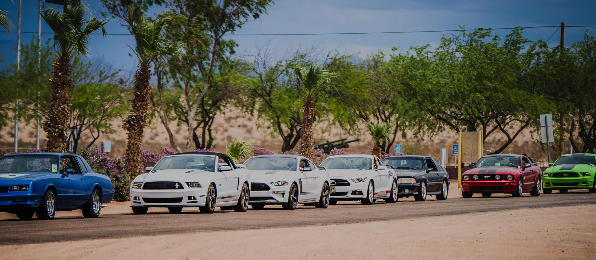 A line of muscle cars drive down the street with palm trees in the background in Topock, Arizona.