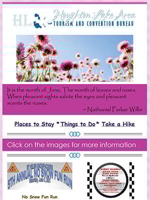 Image content