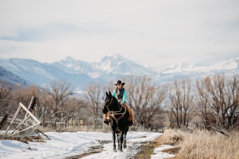 Annual Heber Valley Horse Sale