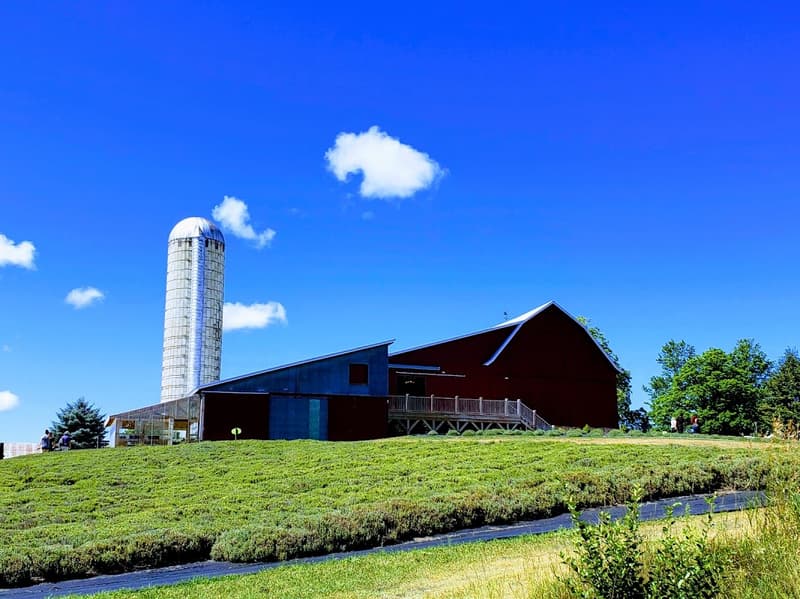 The Concert Truck at Lavender Hill Farm