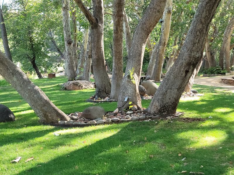 Los abrigados resort and spa