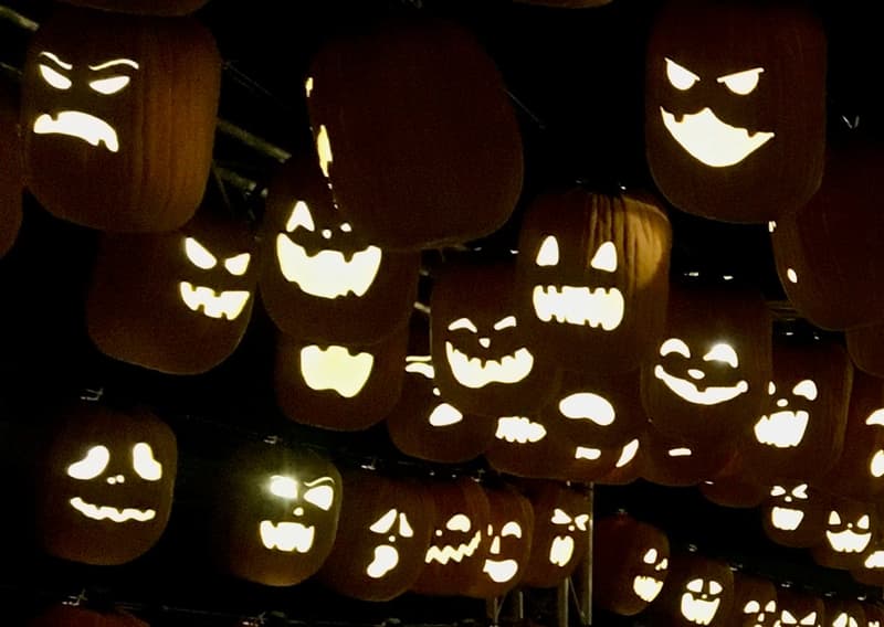 Spooky Traditions Come Alive in North Park